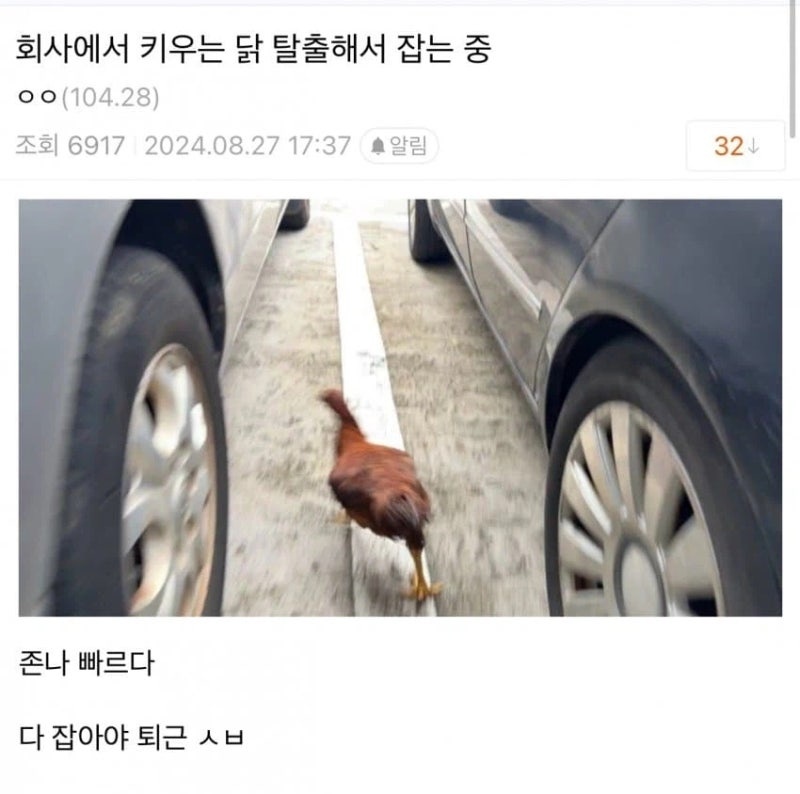 개추보관함 tweet media