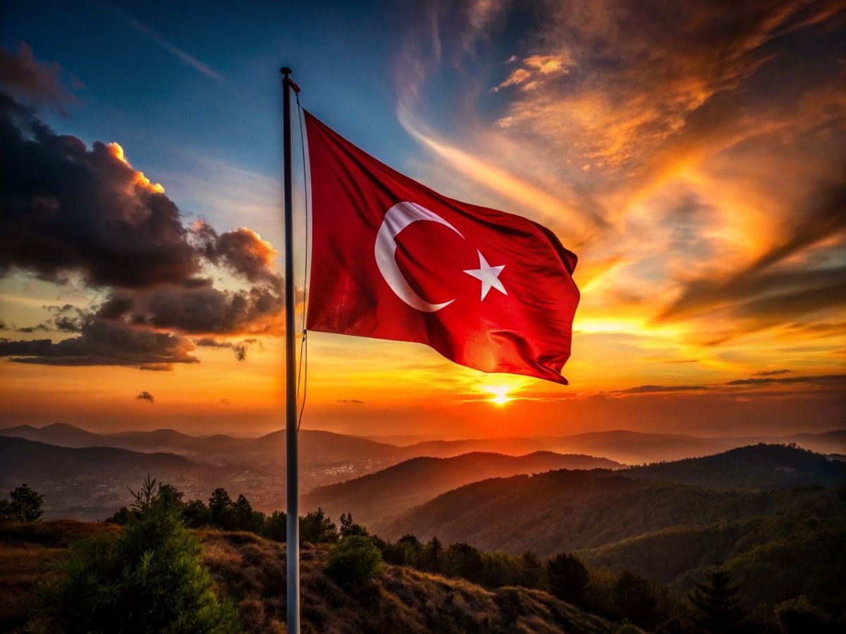 Nilufer tweet media