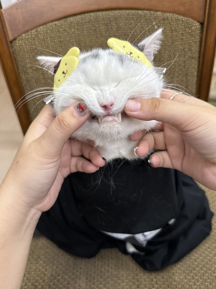 yoojeenoo's tweet photo. ปุ้ม วิชวันอีสยัวเบสไซด์? https://t.co/G2Er2qsKGy