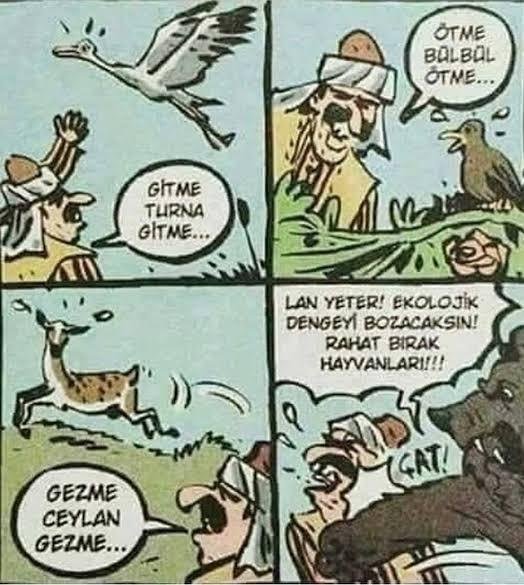 ş. tweet media