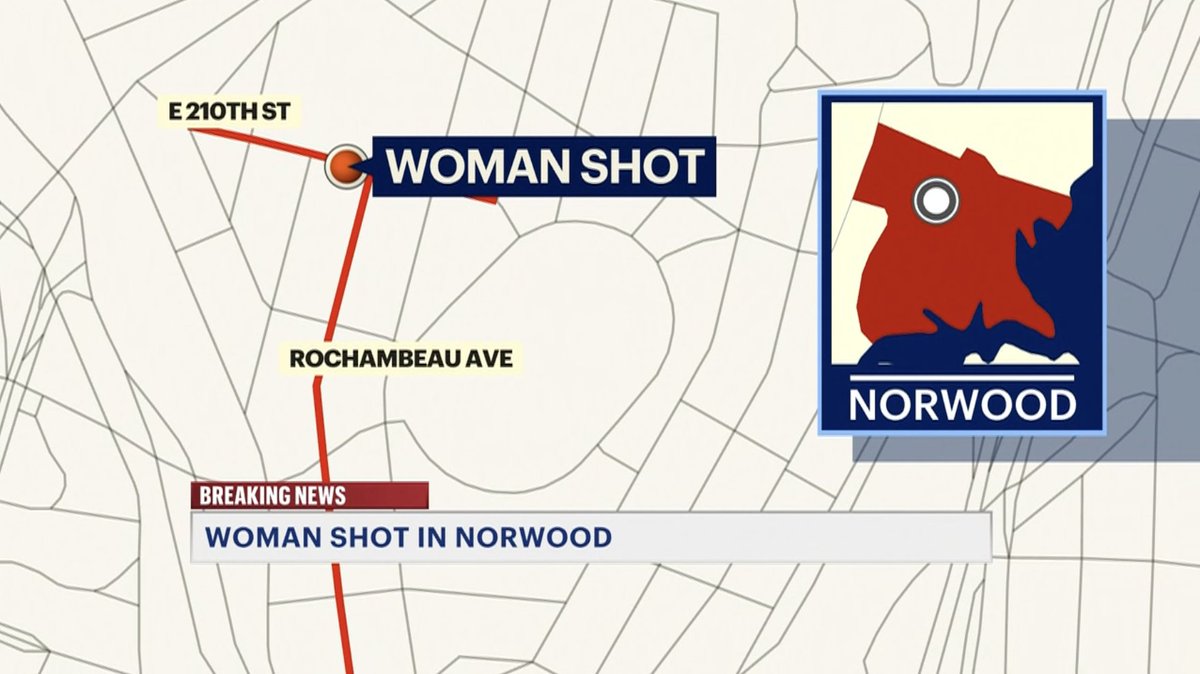 Crime In NYC tweet media