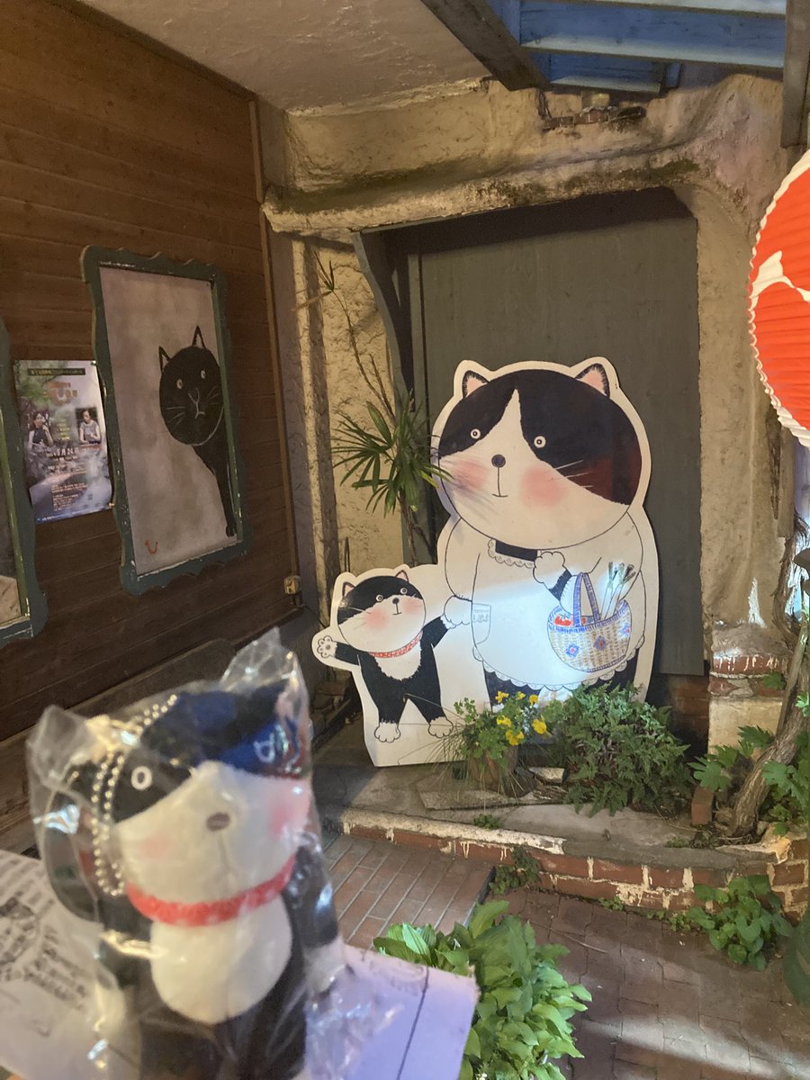 星の人@Planetarian tweet media