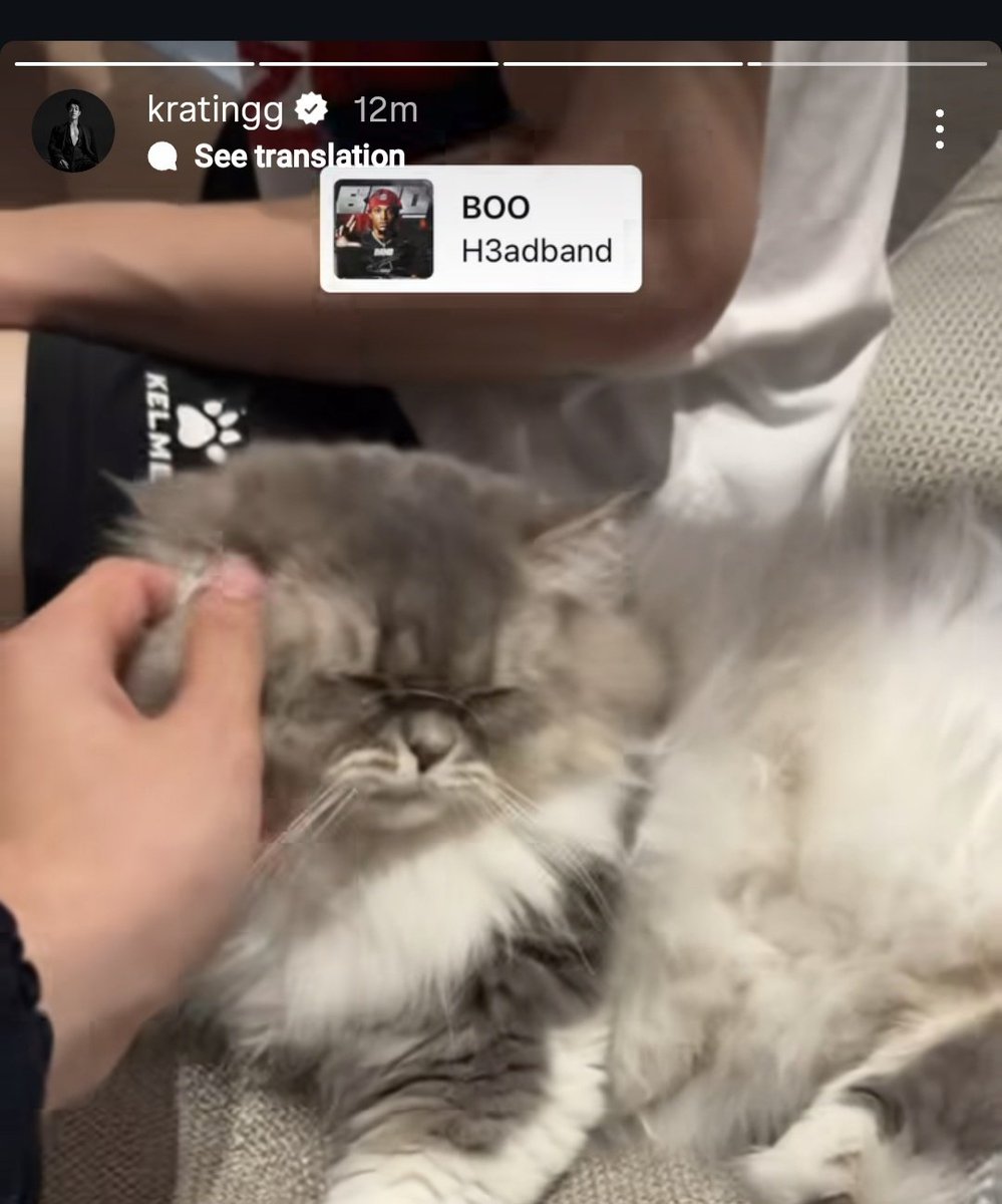 chloe tweet media