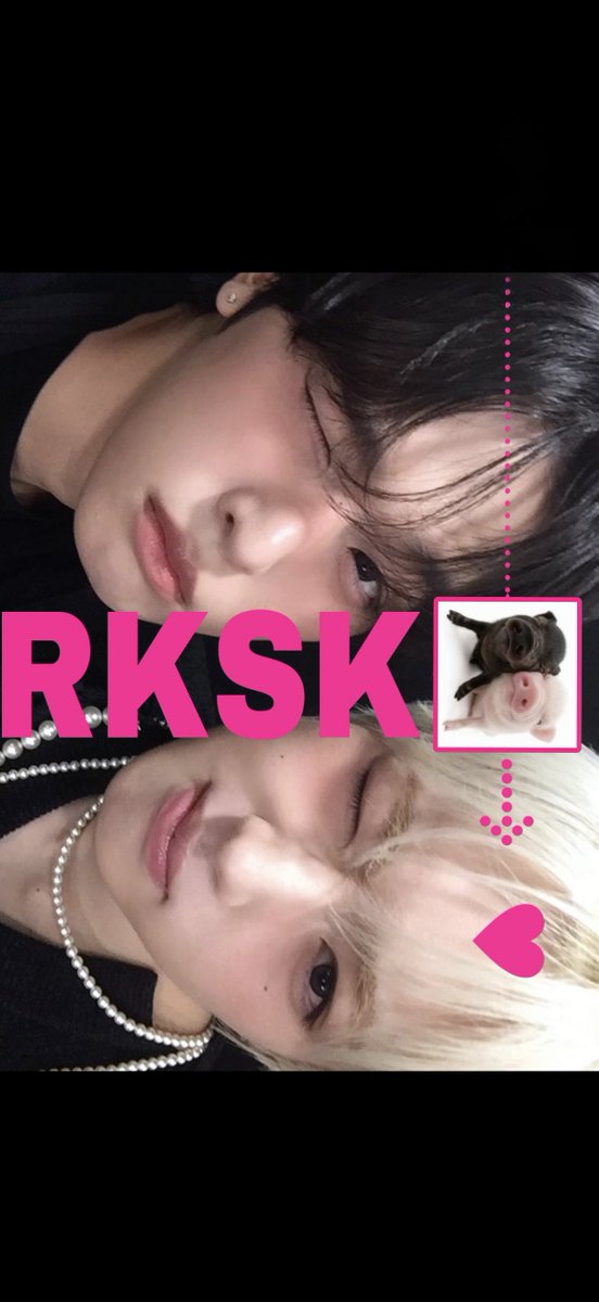 kiku tweet media
