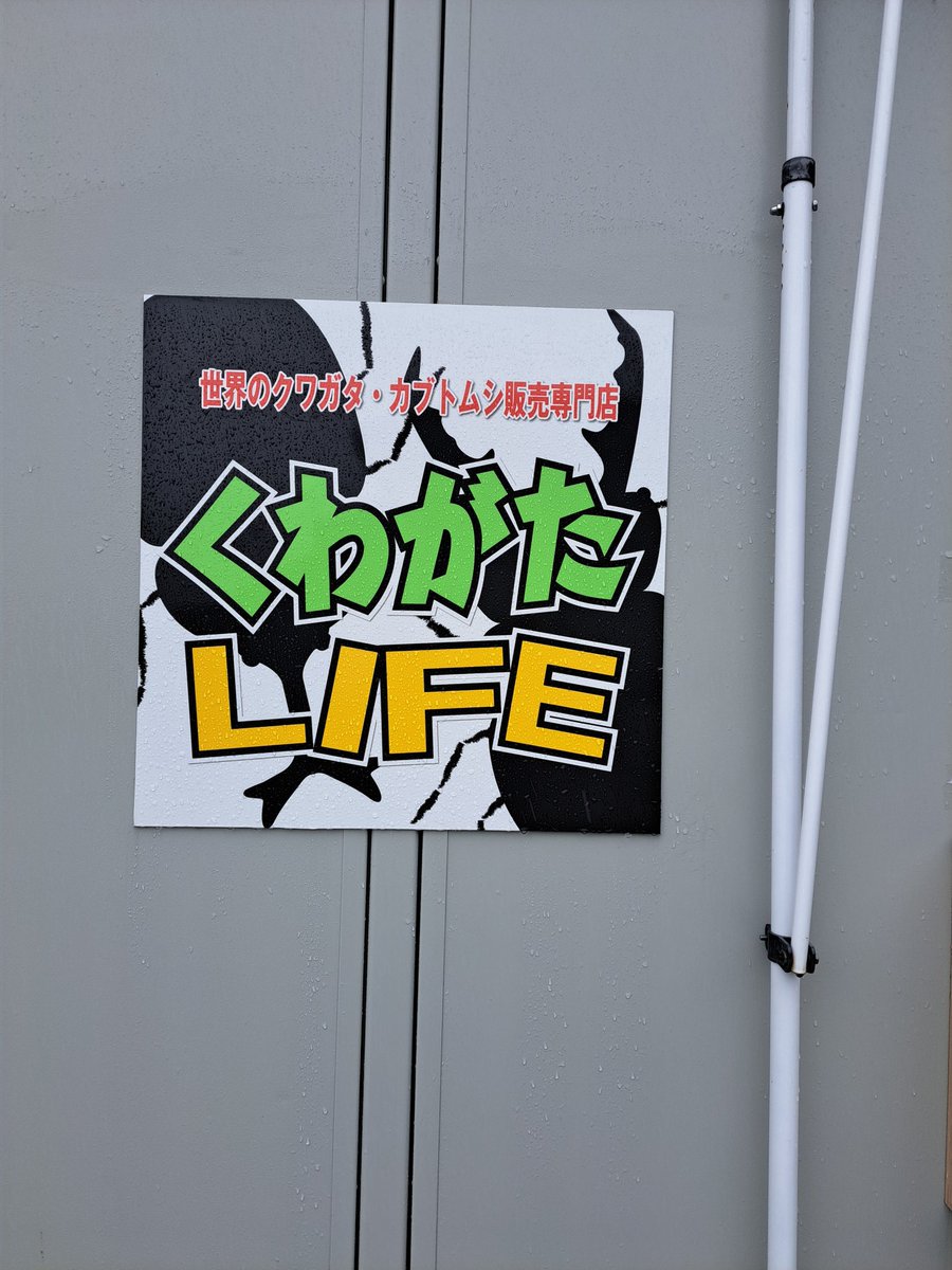 inokichi tweet media