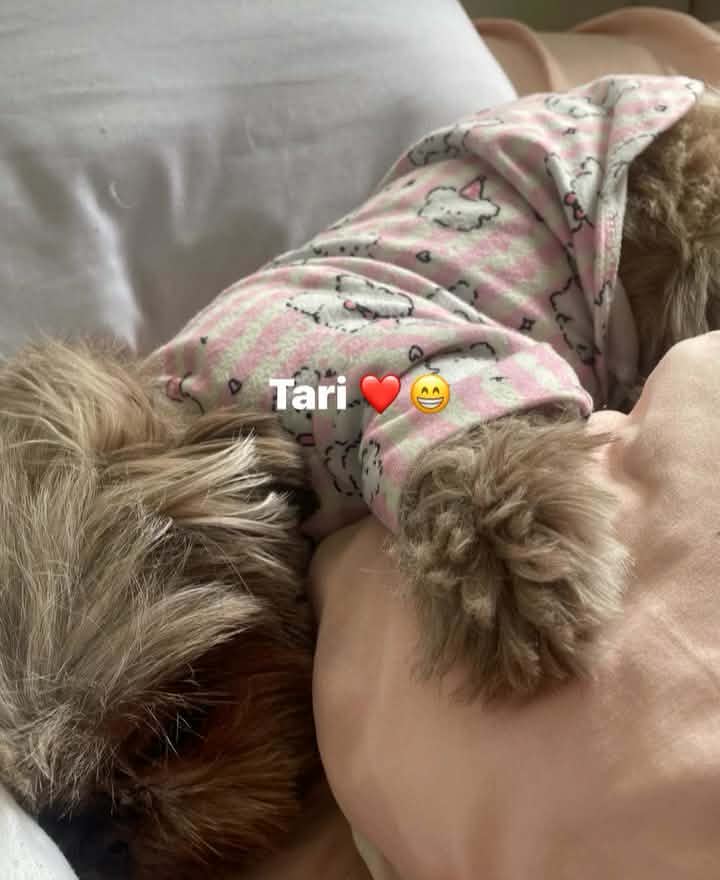 NAKAHUG SYA SA CAPYBARA PLUSHIE ANG KYUT KYUTT

TARI WITH PURINA
#KrystalTariForPurina