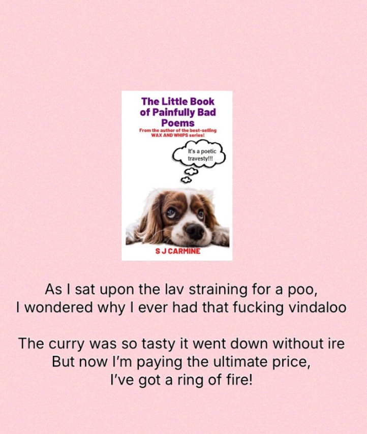 anywhere_tales's tweet image. The Little Book Of Painfully Bad Poems takes you on a poetic stroll through life. From curry to first dates.  Poems so bad they are funny. Written by my sister, you’ll never think poetry is posh again! #poetry #comedy #books  #ukgiftam #ukgifthour amzn.to/37RFc