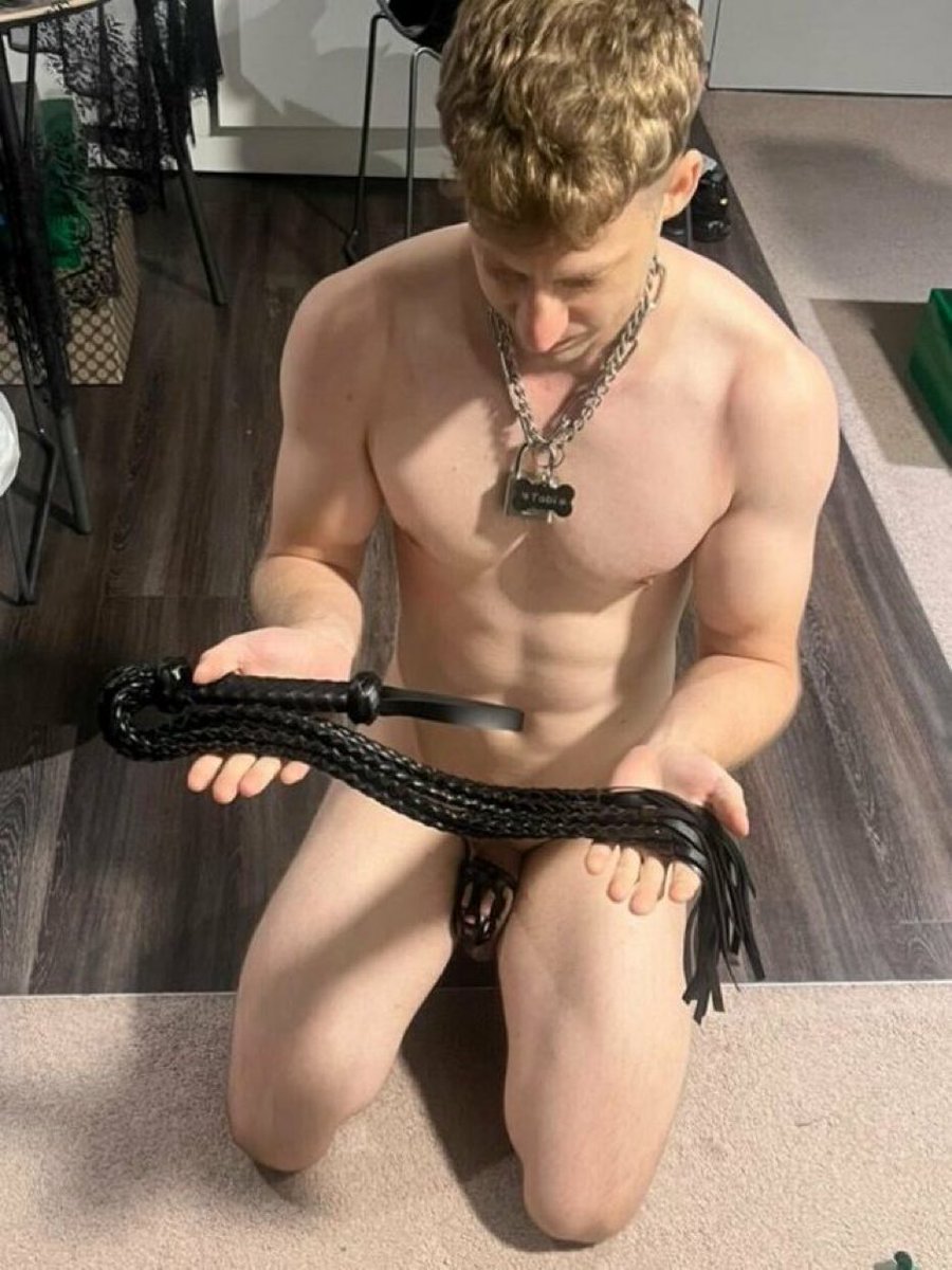 Frenchdog Hard 🇫🇷 tweet media