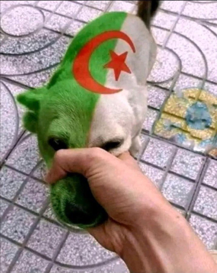 MR NEWS 🇲🇦 tweet media