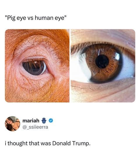 Satan tweet media