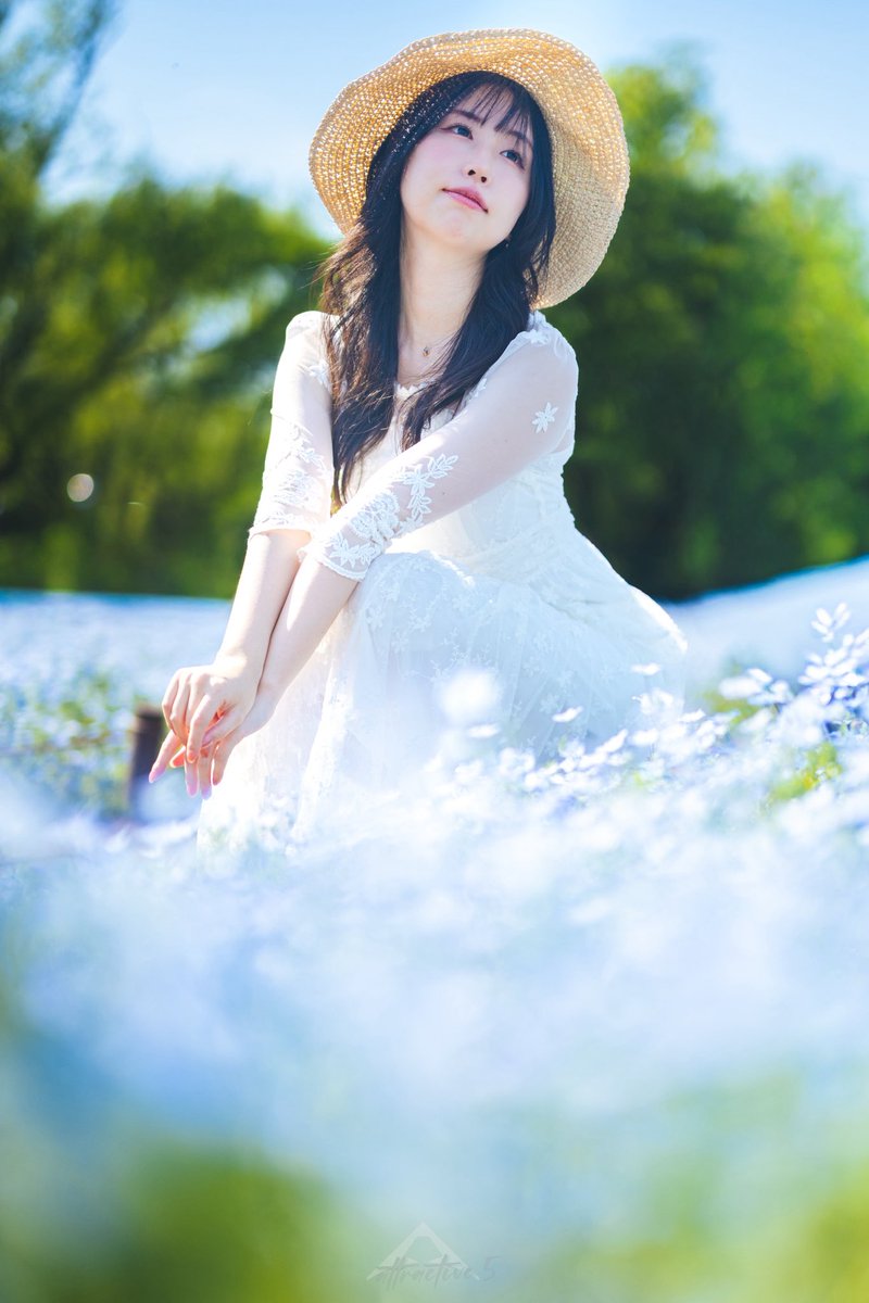 surume_cos's tweet photo. ネモフィラ

#ポートレート
#portrait https://t.co/q3JpTQgXNs