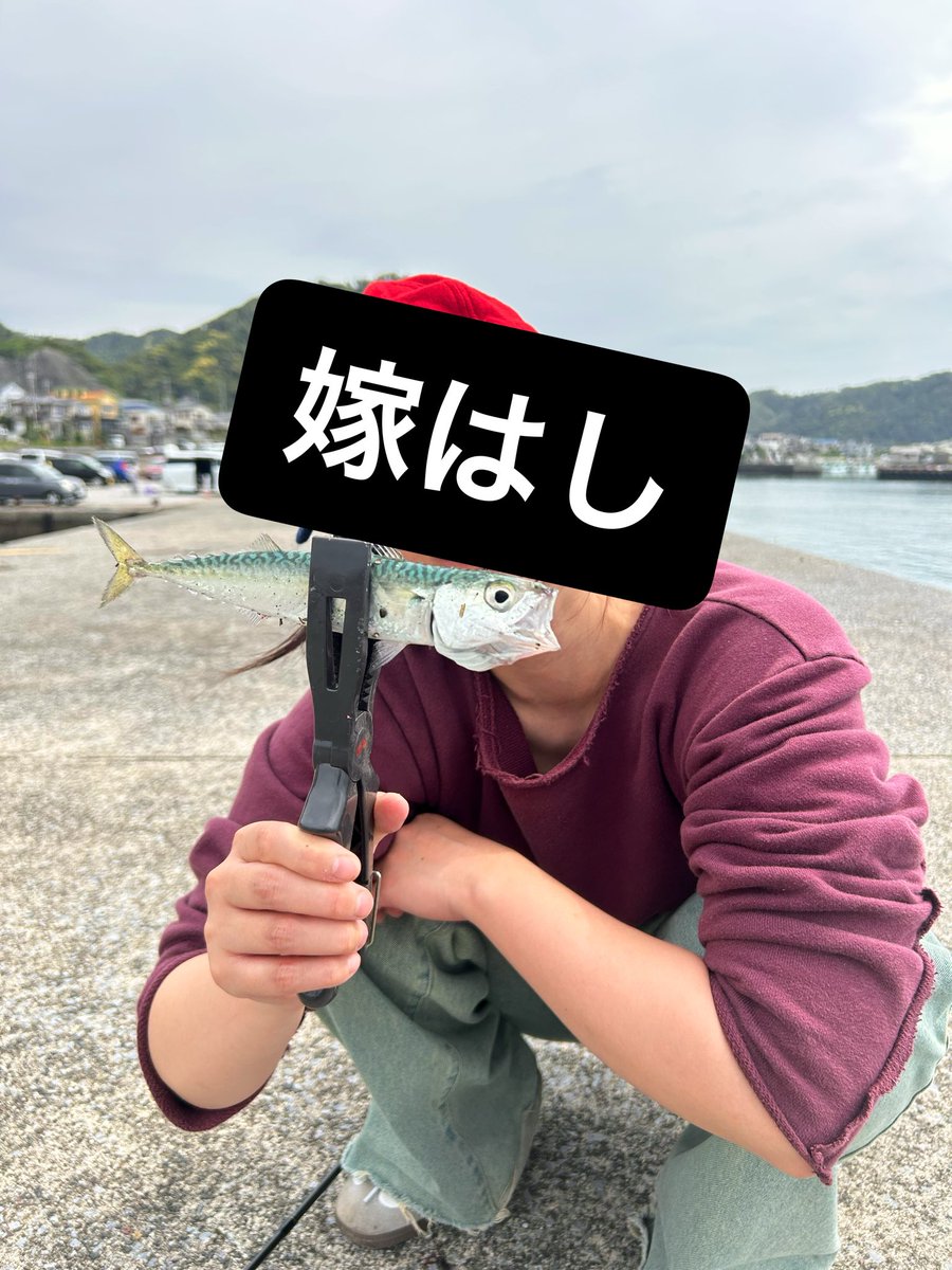 🌵髙橋🌵 tweet media