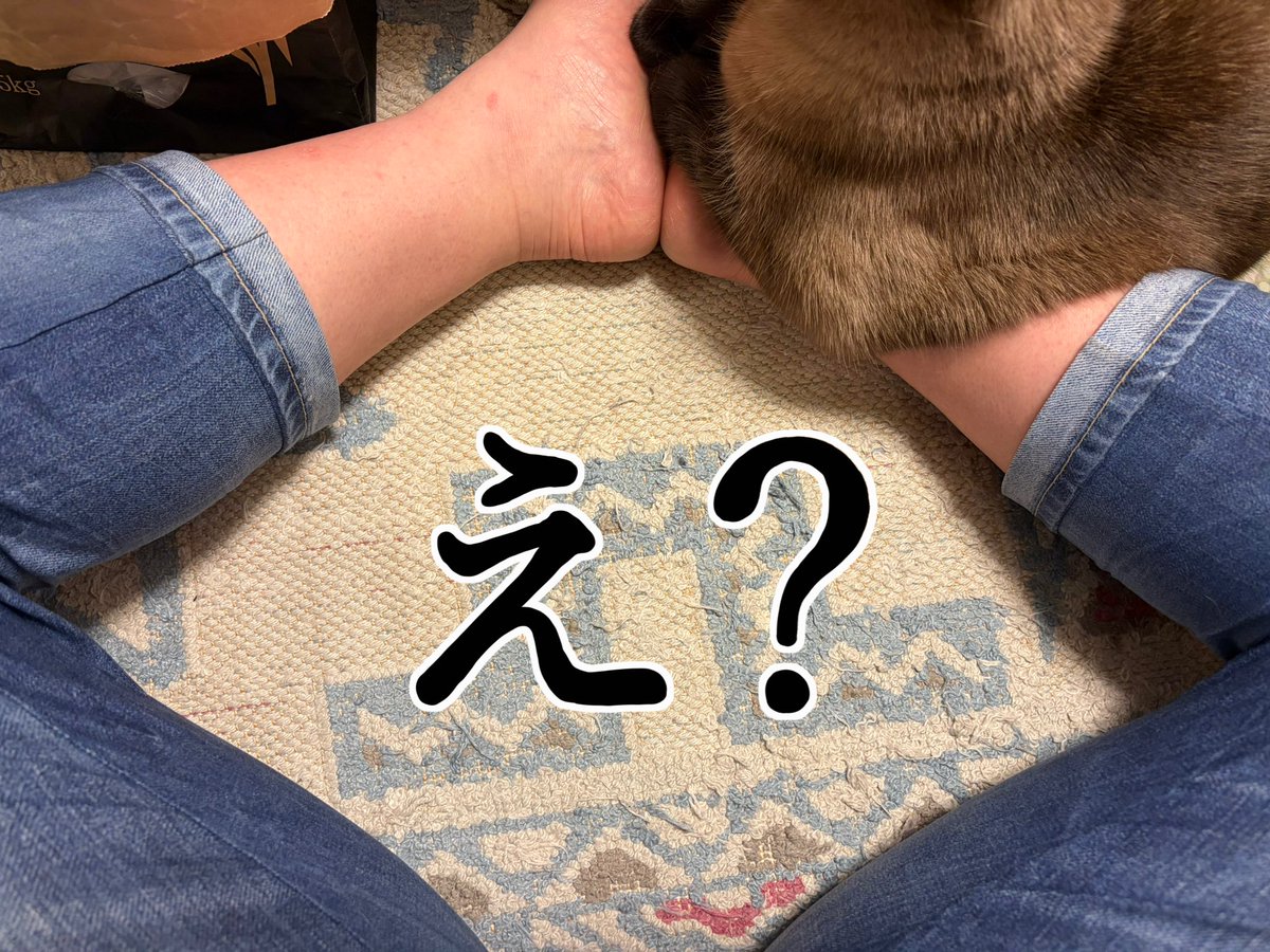 junko.f tweet media