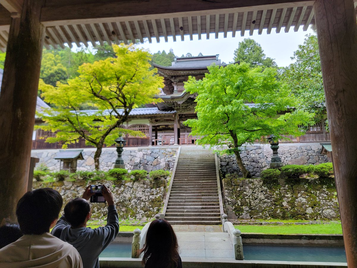 ragdoll_bard's tweet photo. 永平寺に来たのだ : D https://t.co/CERlsedOZp