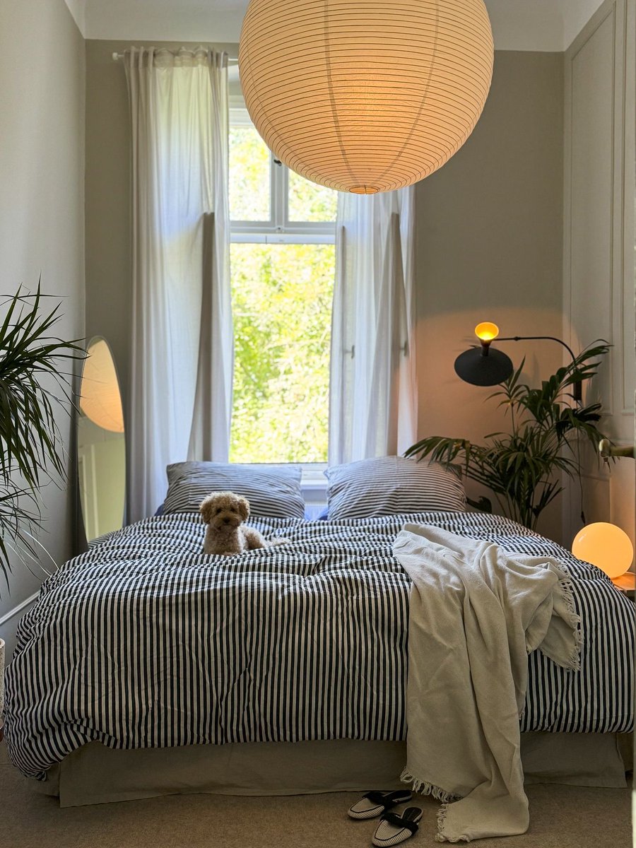 interiorstellar tweet media