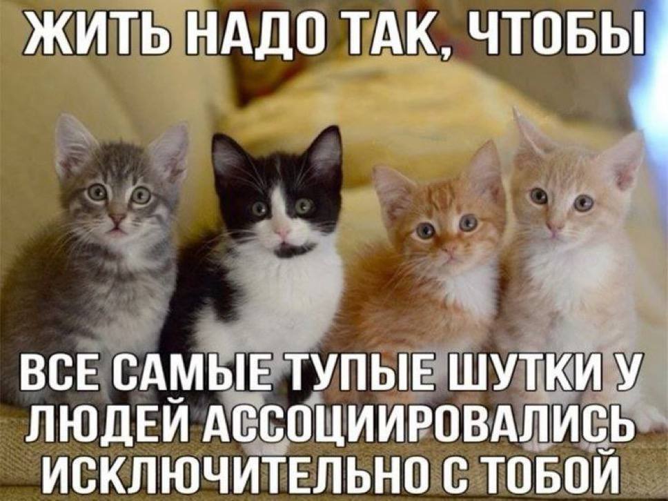 Дантес (@dantesdmitriy) on Twitter photo 