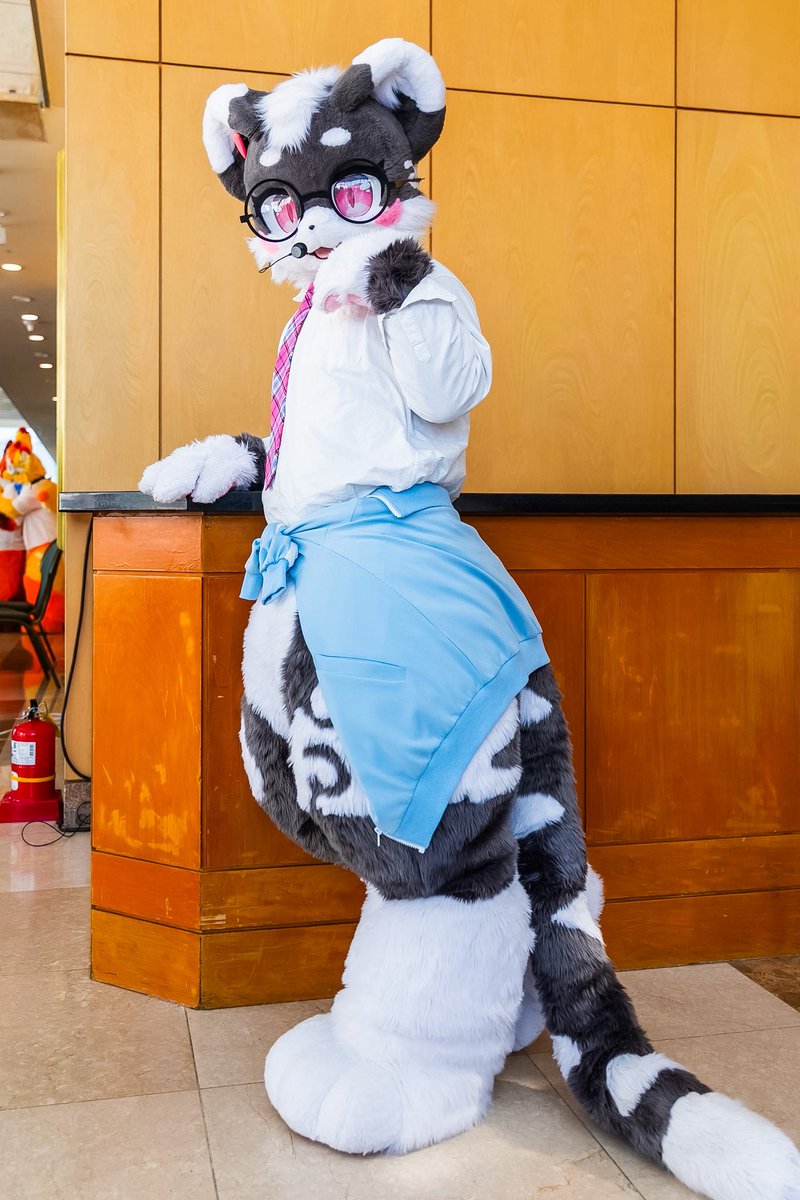 Crew_Furphoto's tweet photo. #Furstclass #퍼스트클래스
#BASTTIE #바스티 #バスティー
#FursuitEveryday

                🥳 HB🎉까미 🎂

💗🐅: #Kkami_Tiger https://t.co/UJoAonwpKv