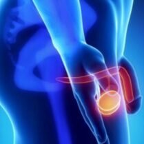 progesteron erkeklerde stresin başlattığı devasa biyokimyasal alarm dalgasını (ACTH, kortizol, östrojen, prolaktin, serotonin, nitrik oksit) anında kesen, testosteronun israf edilmesini önleyen ve beyin hücrelerine enerjilerini yeniden üretmeleri için güvenli bir zemin sunan ana