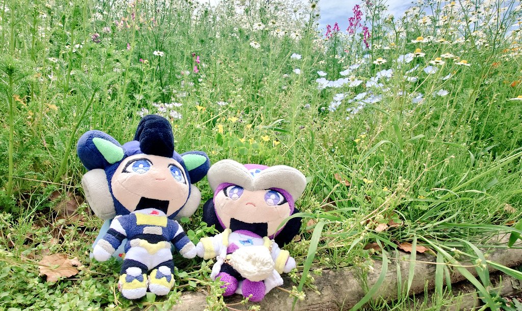 漣🦭5/6 SCC 東3ひ19b (@sznami129) / Posts / X