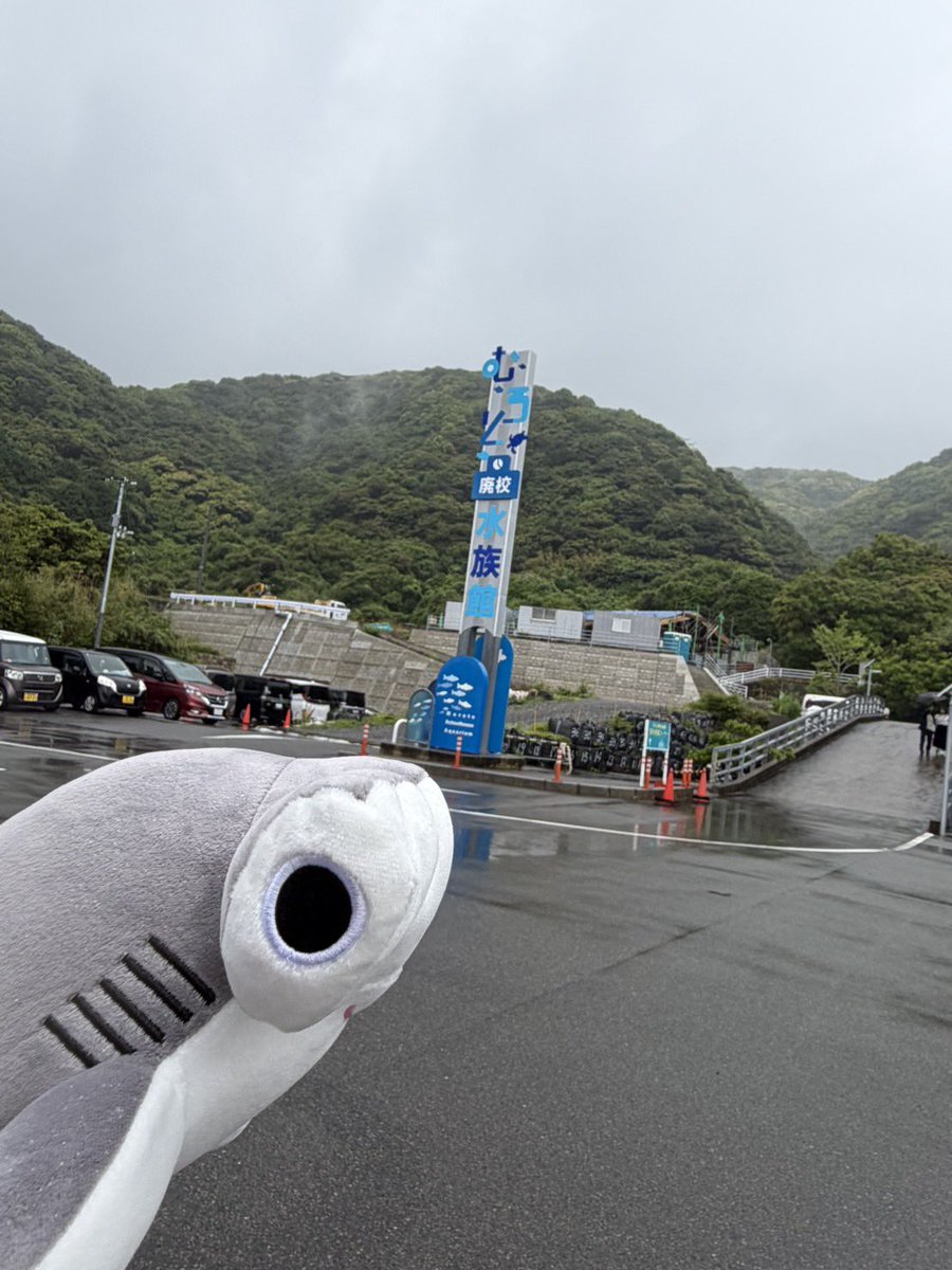 Mitsuki⋆ tweet media