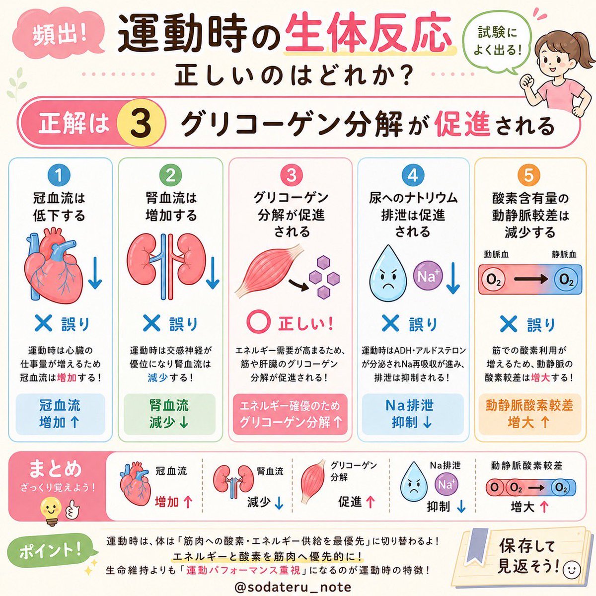 国試対策 3,4年生向け】国試まで使えるセット商品が登場！ | INFORMA by