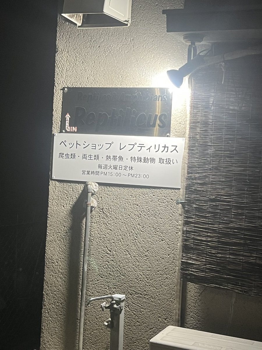 しま（産毛） tweet media