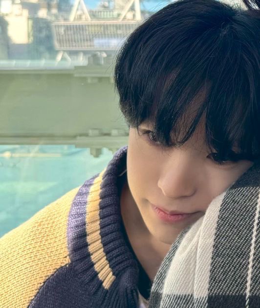 라윤 tweet media