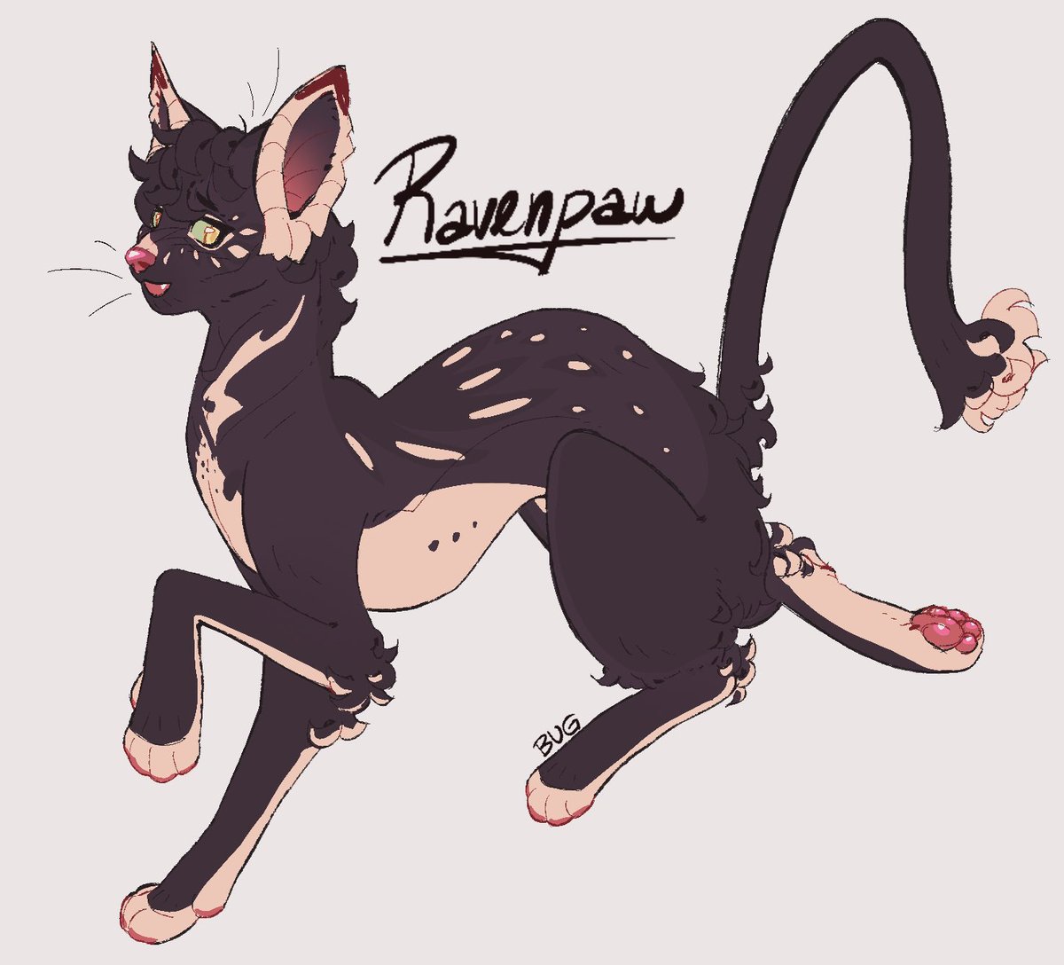 . ₊ ☾ bug ★ Working on owed ´ˎ˗ ₊ . tweet media
