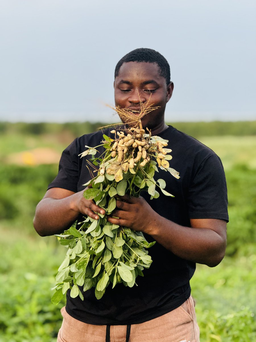 Charles Antwi tweet media