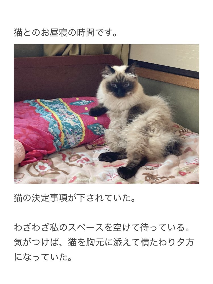 やーこ tweet media