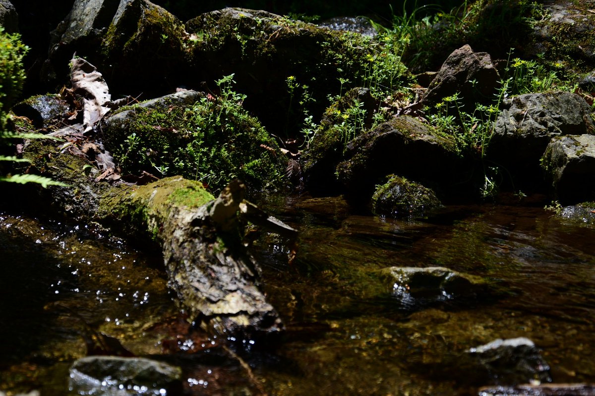 Kengo-Low tweet media