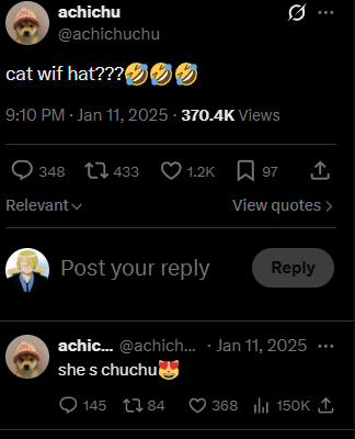 FLASH tweet media