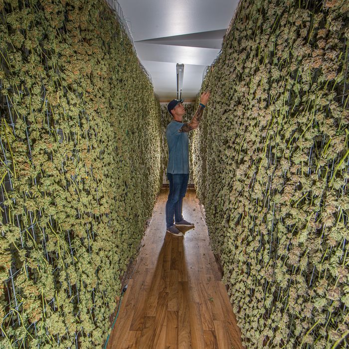 Jasontree15's tweet photo. @jasontree15 Can you imagine walking these halls? #loveweed😍🔥🌲 https://t.co/JRDDvcg2kF
