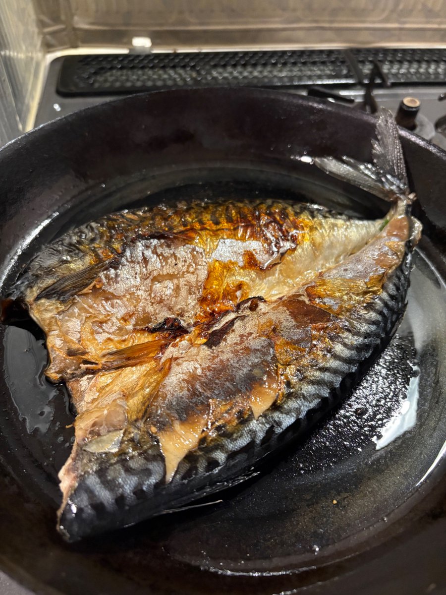 PhysioYasui's tweet photo. ごちそう

バーミキュラフライパンで焼いたとろさばとオーブンポット2で焼いたとり肉 https://t.co/wX9KChAoF5