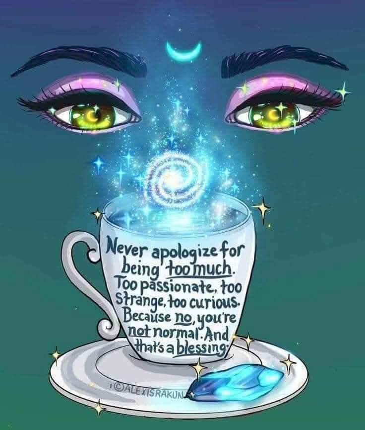 Maura 🍀🇺🇸🇮🇪🇲🇽 🌛🌝🌜💙 tweet media