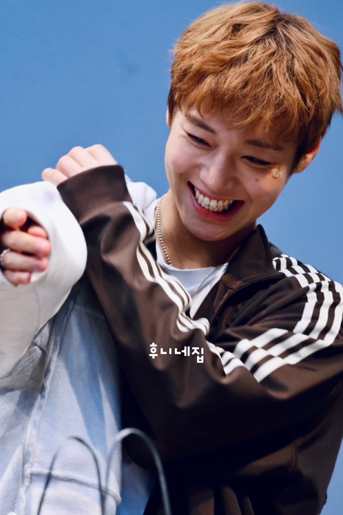후니네집 tweet media
