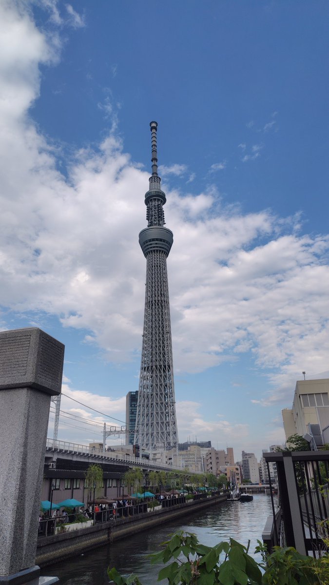 とうふぇぇ tweet media
