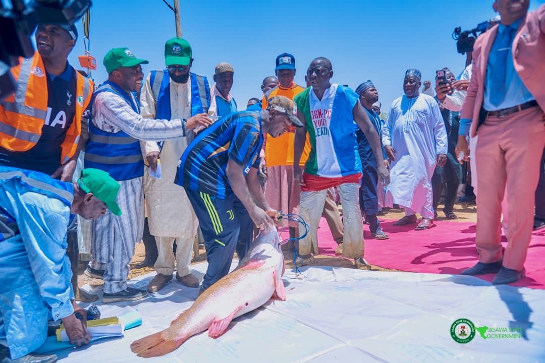 NTANewsNow's tweet photo. Kalgwai fishing Festival, Jigawa State in Pictures https://t.co/iTgWT3Pmhu