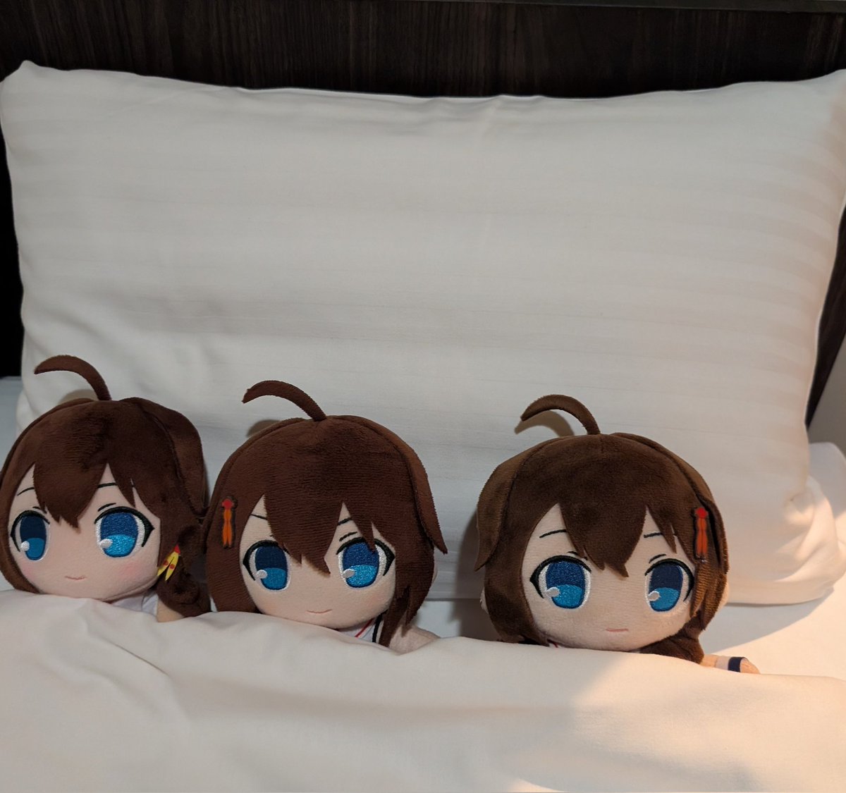 シャモニス tweet media