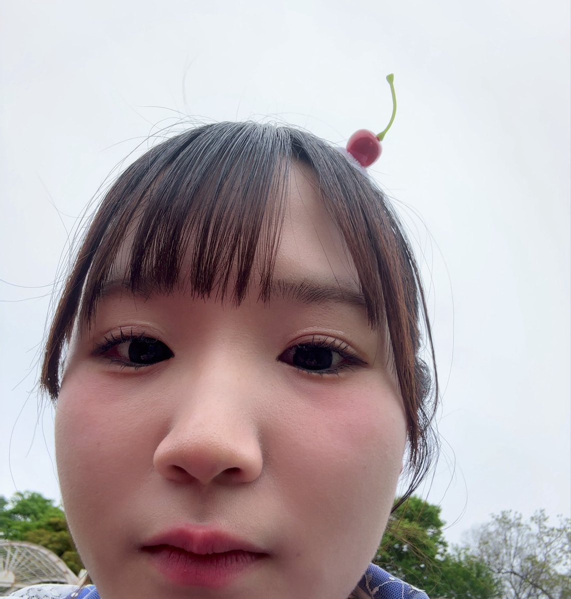 百井 ハナコ tweet media