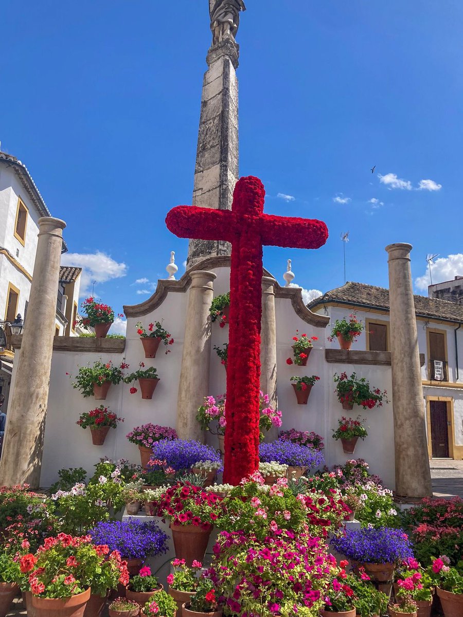 Magical Spain tweet media