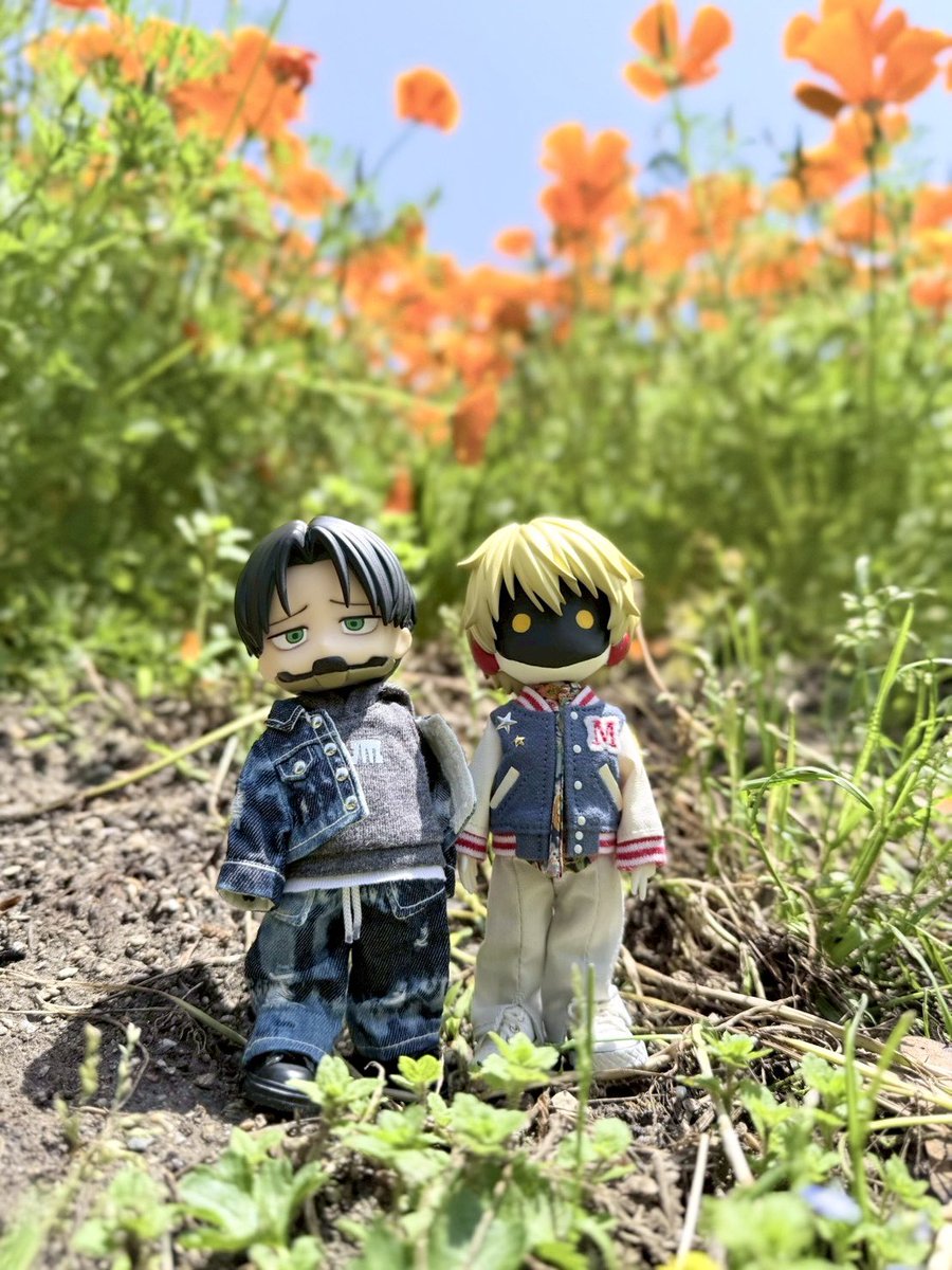 よっこ様⭐専用ページ Post by よっこ on X: 🌼