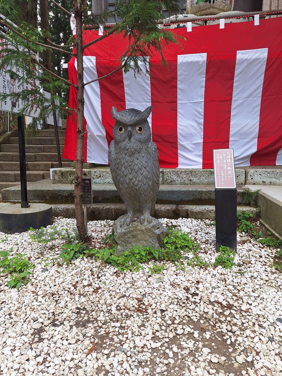 kazuhiro108's tweet photo. 今日は、那珂川町にある鷲子山上神社に行ってきたよ！
春のフクロウ祭りが開催中！また、5月7日まで"大黒天"修復記念特別御開帳してるよ！ https://t.co/ki4LsKL9kE