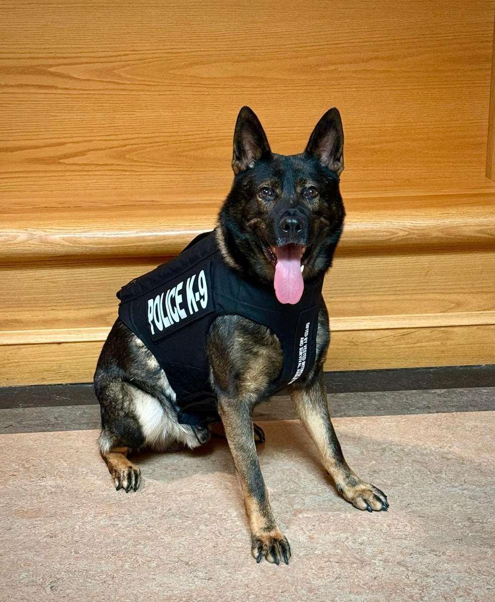 Vested Interest in K9s tweet media