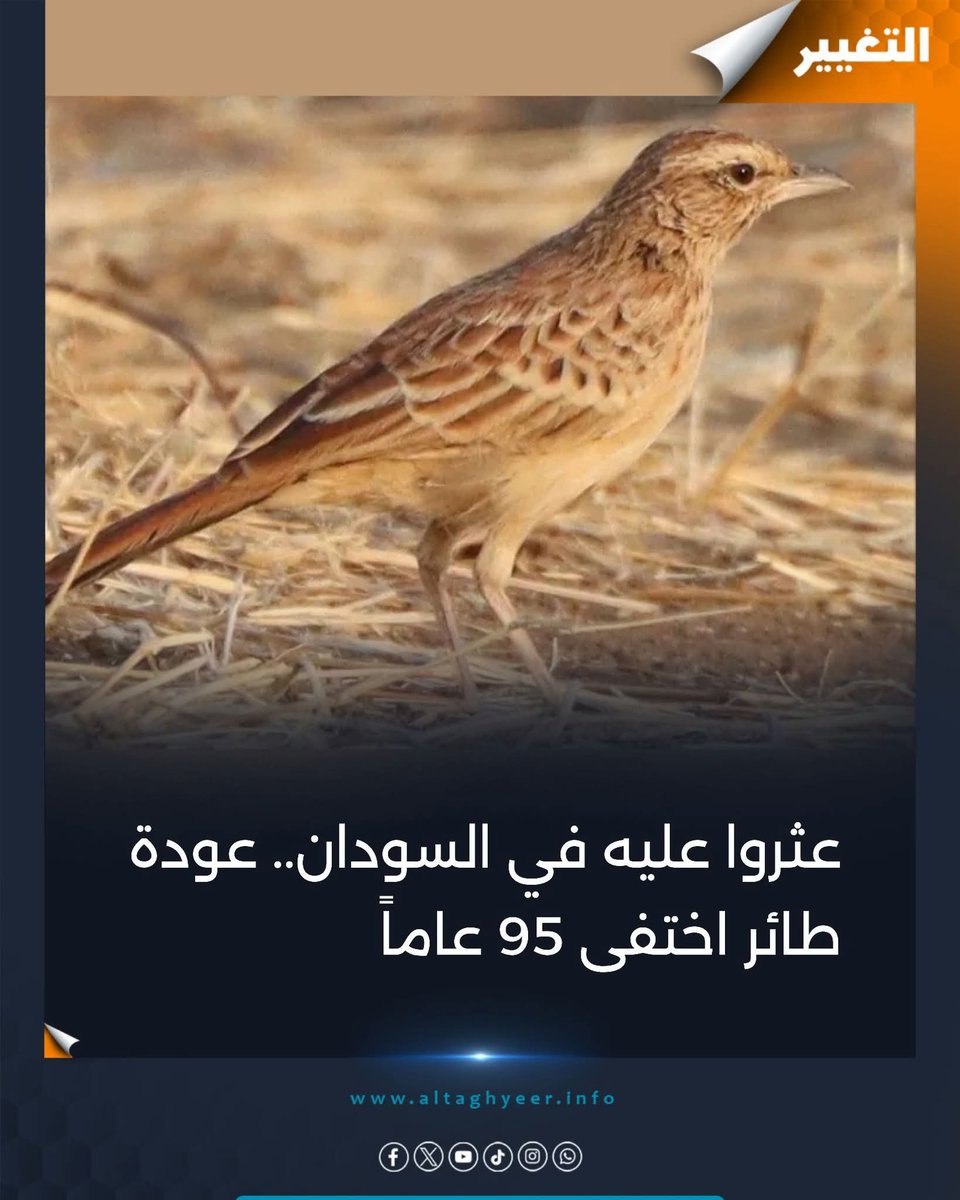 Daily Sudan Post tweet media