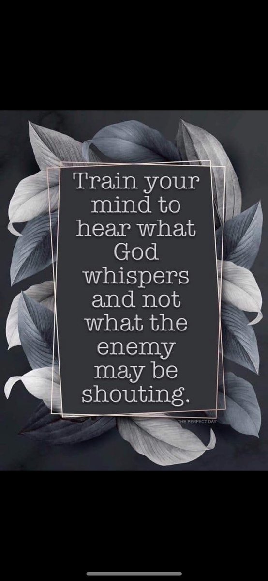 EugenPop's tweet image. Be rooted in God’s word, and the raging storms from outside will not affect you. #fypageシ #faith #bible #life