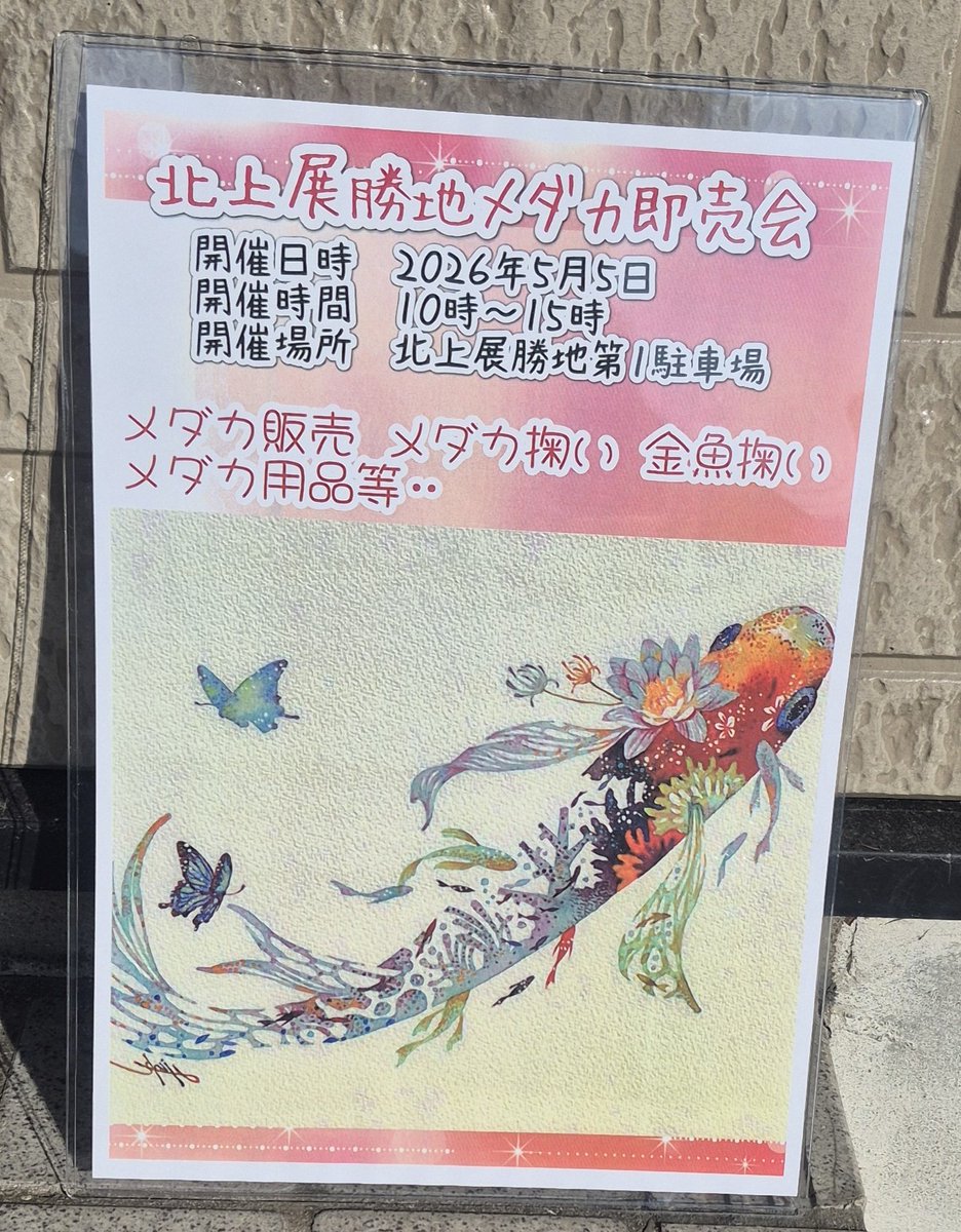 urara8621's tweet photo. 盛岡TSUTAYAの次は〜5日子供の日北上展勝地にてメダカ即売会を開催します😊
開催時間は10時〜15時迄となります😉
自分はメダカ掬い・金魚掬い（丸手・長手）・Mixラメ・Mix販売します😊
時間有る方、是非遊びに購入しに来て下さいね😊出店者一同お待ちしてます😄

#メダカ即売会　
#北上展勝地 https://t.co/aMo8ndHgwi