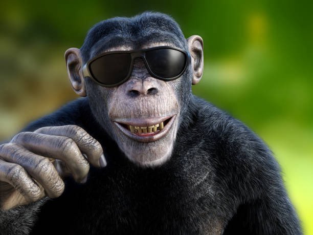 Monkey tweet media
