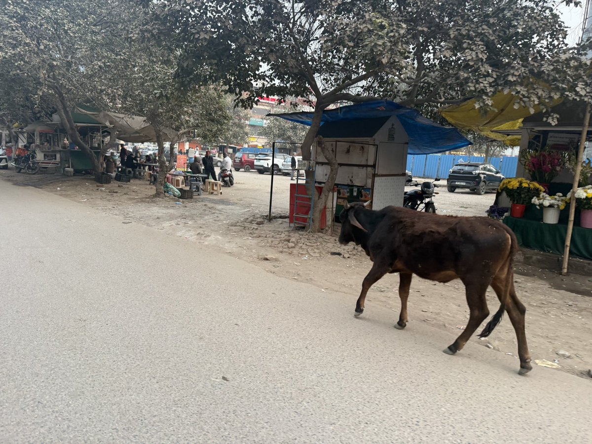 KritikCommunity's tweet image. Encroachment issues in local markets of Sector 56, Gurugram🧵

#Gurgaon #india #sector56 #ward21 @MunCorpGurugram @cmohry