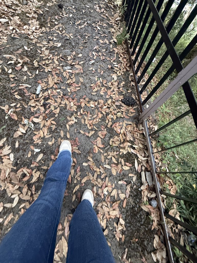 नम्रता शर्मा tweet media